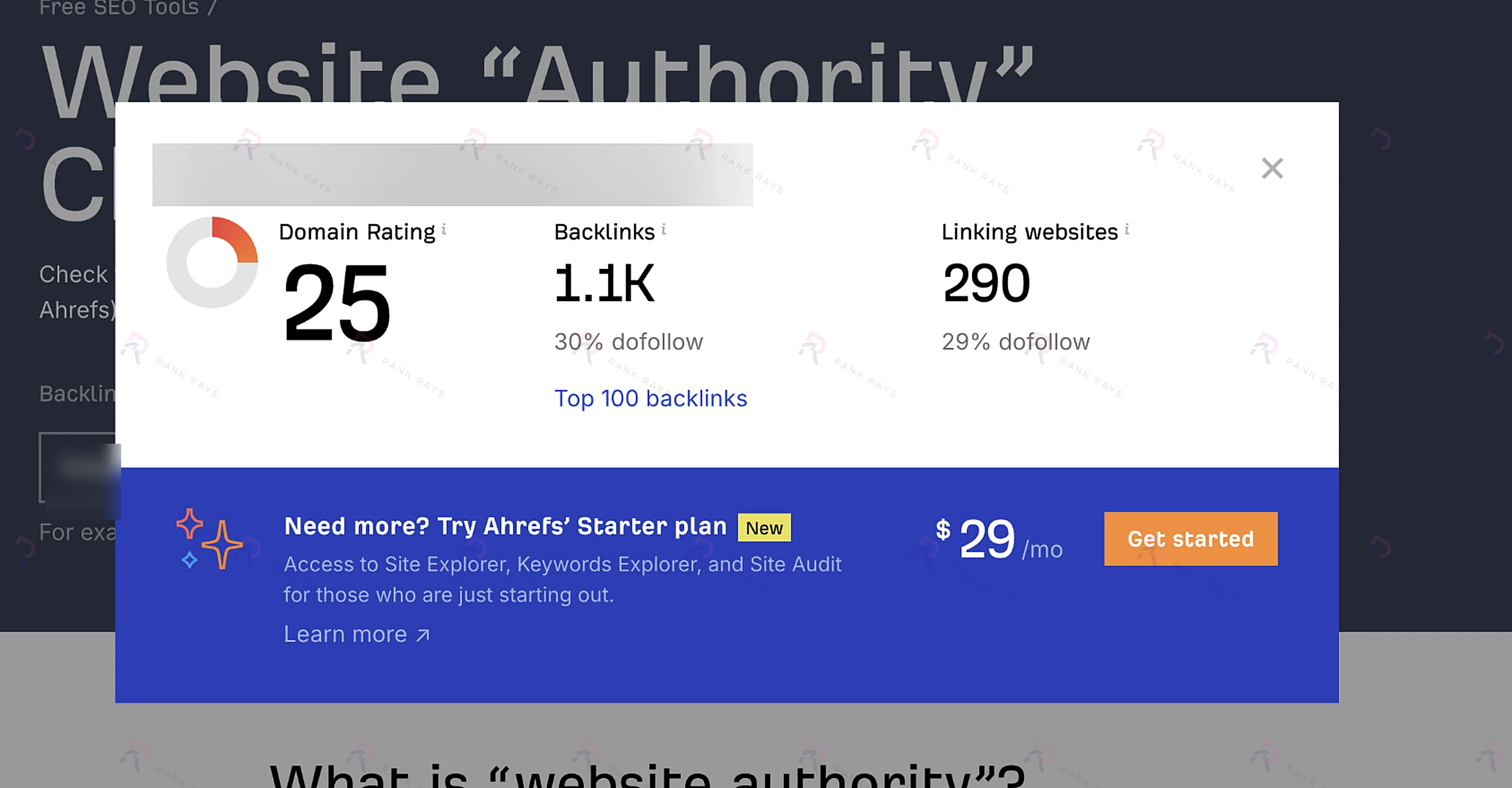 Ahrefs screenshot showing Domain Rating 25 before the authority campaign for a private client's Squarespace website in the relationship counseling niche: Rank Rays case study