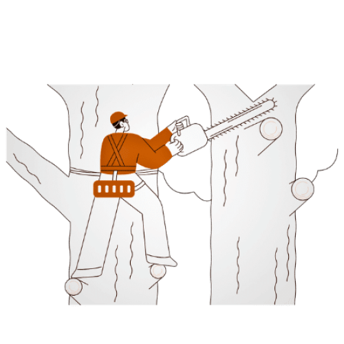 image of tree trimming seo by rank rays seo agency